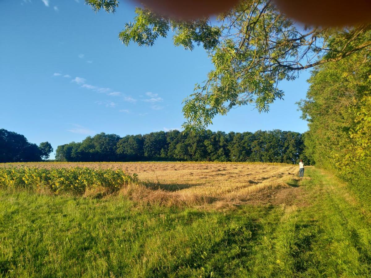 Haus Ringgau - Urlaub, Gemeinschaft Und Erlebnis Im Herzen Von Deutschland Herleshausen エクステリア 写真