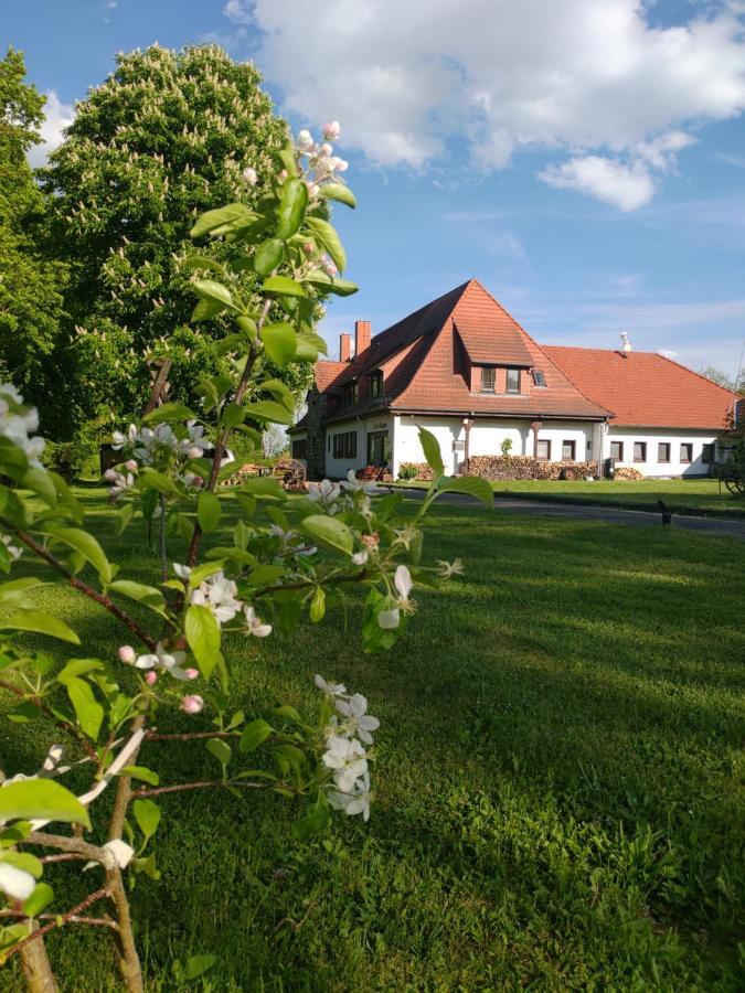 Haus Ringgau - Urlaub, Gemeinschaft Und Erlebnis Im Herzen Von Deutschland Herleshausen エクステリア 写真
