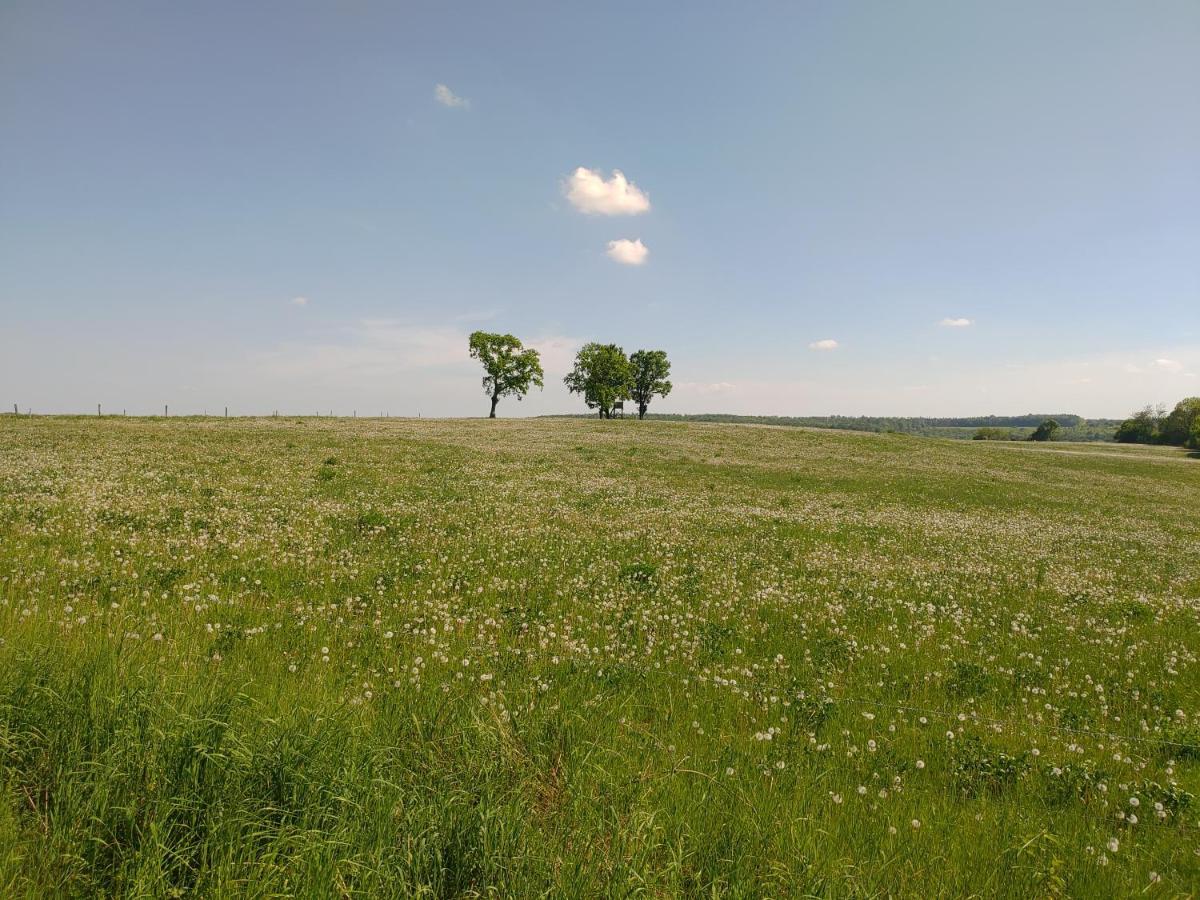Haus Ringgau - Urlaub, Gemeinschaft Und Erlebnis Im Herzen Von Deutschland Herleshausen エクステリア 写真
