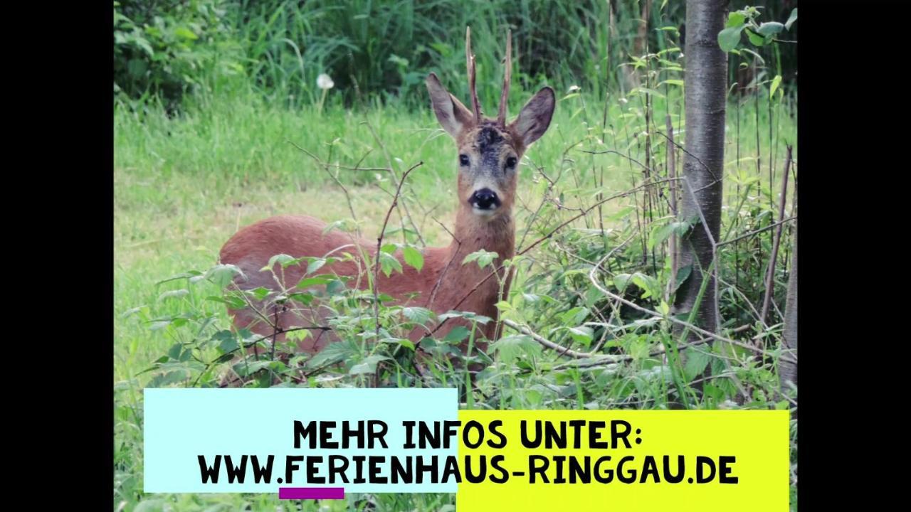 Haus Ringgau - Urlaub, Gemeinschaft Und Erlebnis Im Herzen Von Deutschland Herleshausen エクステリア 写真