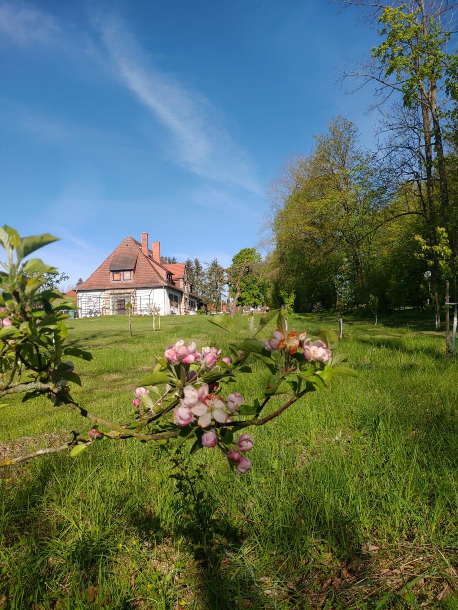 Haus Ringgau - Urlaub, Gemeinschaft Und Erlebnis Im Herzen Von Deutschland Herleshausen エクステリア 写真